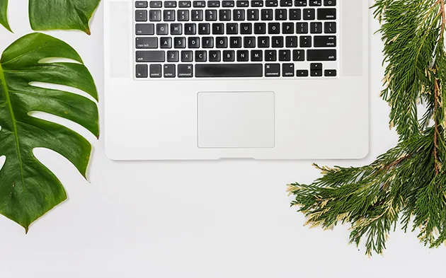 blog-5